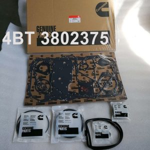 lower gasket set 3802375