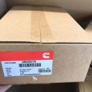 OEM 3802010 STD Cummins 4BT 3.9L Main Bearing