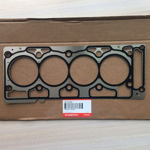 Engine Gasket OEM Part Number 10141300