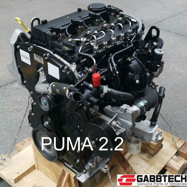 Puma 2.2 Engine Assembly Long Blcok Short Block - GABBTECH CHINA